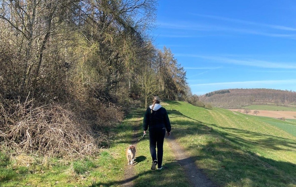 Natürlicher Zeckenschutz für Hunde – sanft, effektiv und ohne Chemie